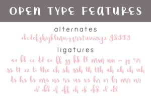 Raspberry Moonshine Open Type